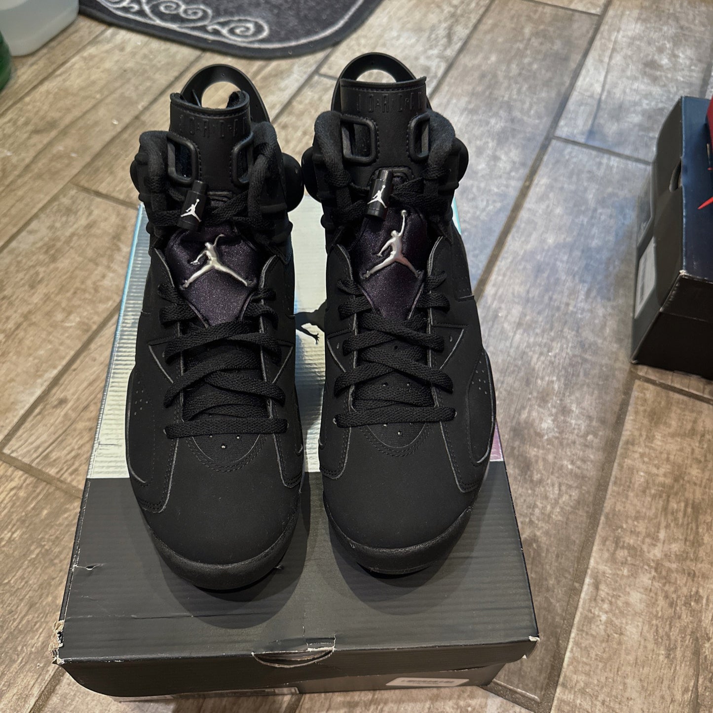 Jordan 6 Chrome Metallic