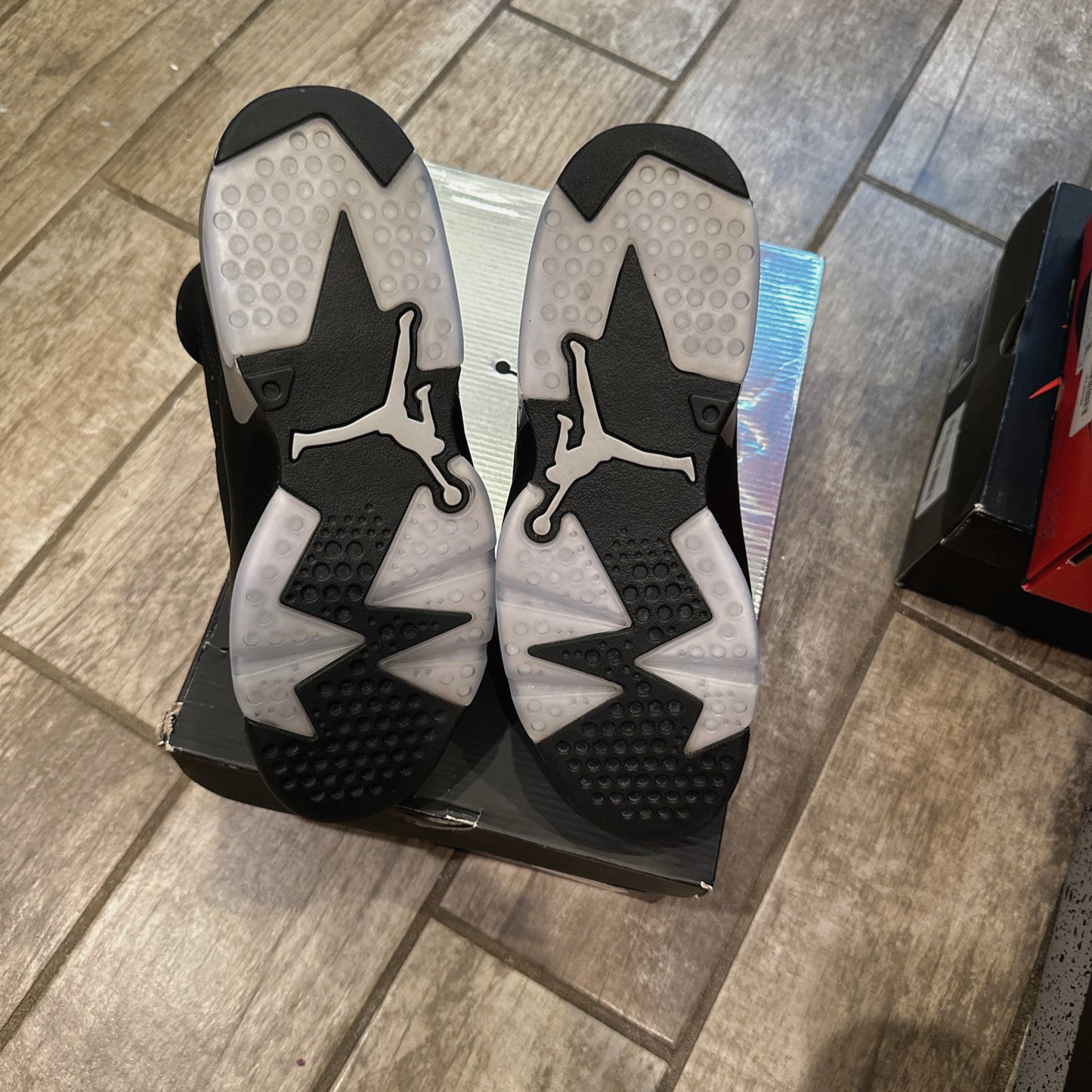 Jordan 6 Chrome Metallic